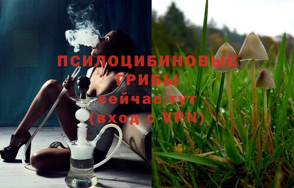 2c-b Горнозаводск