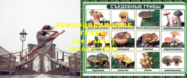 2c-b Горнозаводск
