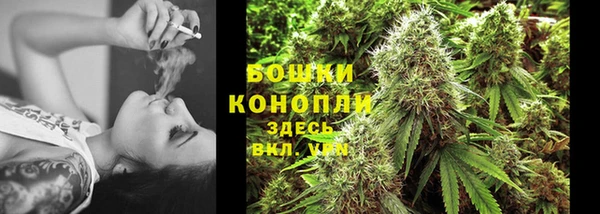 молекула духа Горно-Алтайск