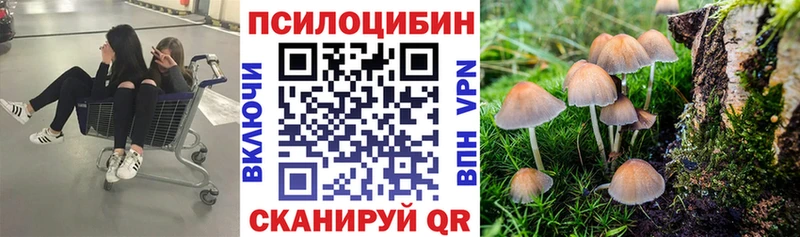 Псилоцибиновые грибы прущие грибы  Красный Холм 